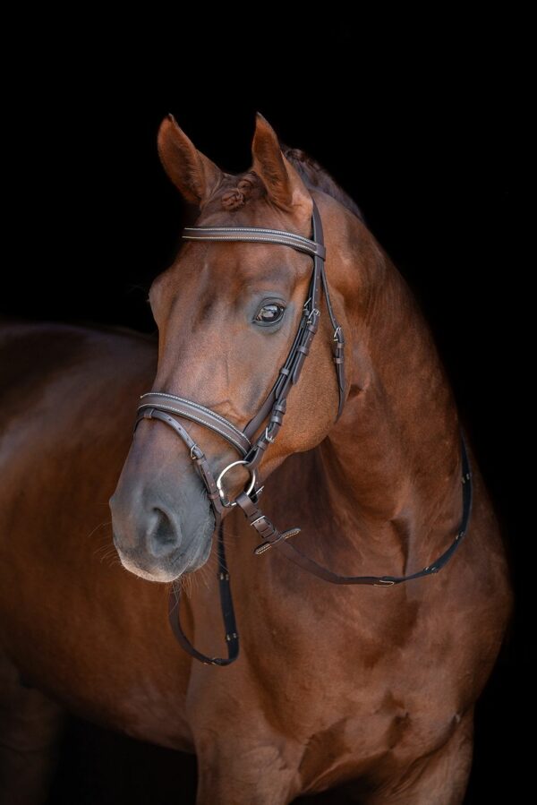 Bridle -Lou- - Havana Horses Tack Shop